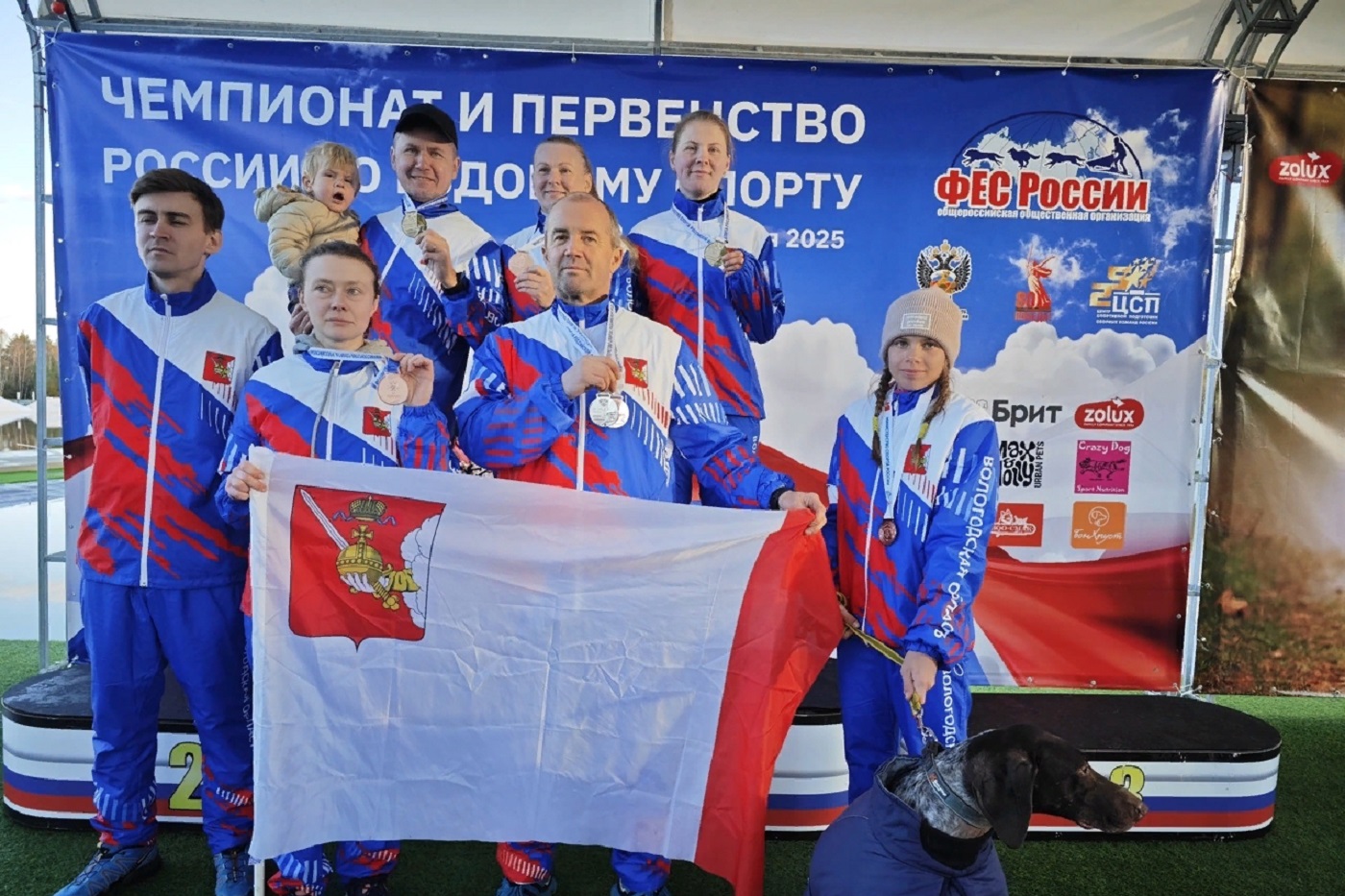 Шесть медалей завоевали вологжане в соревнованиях по ездовому спорту