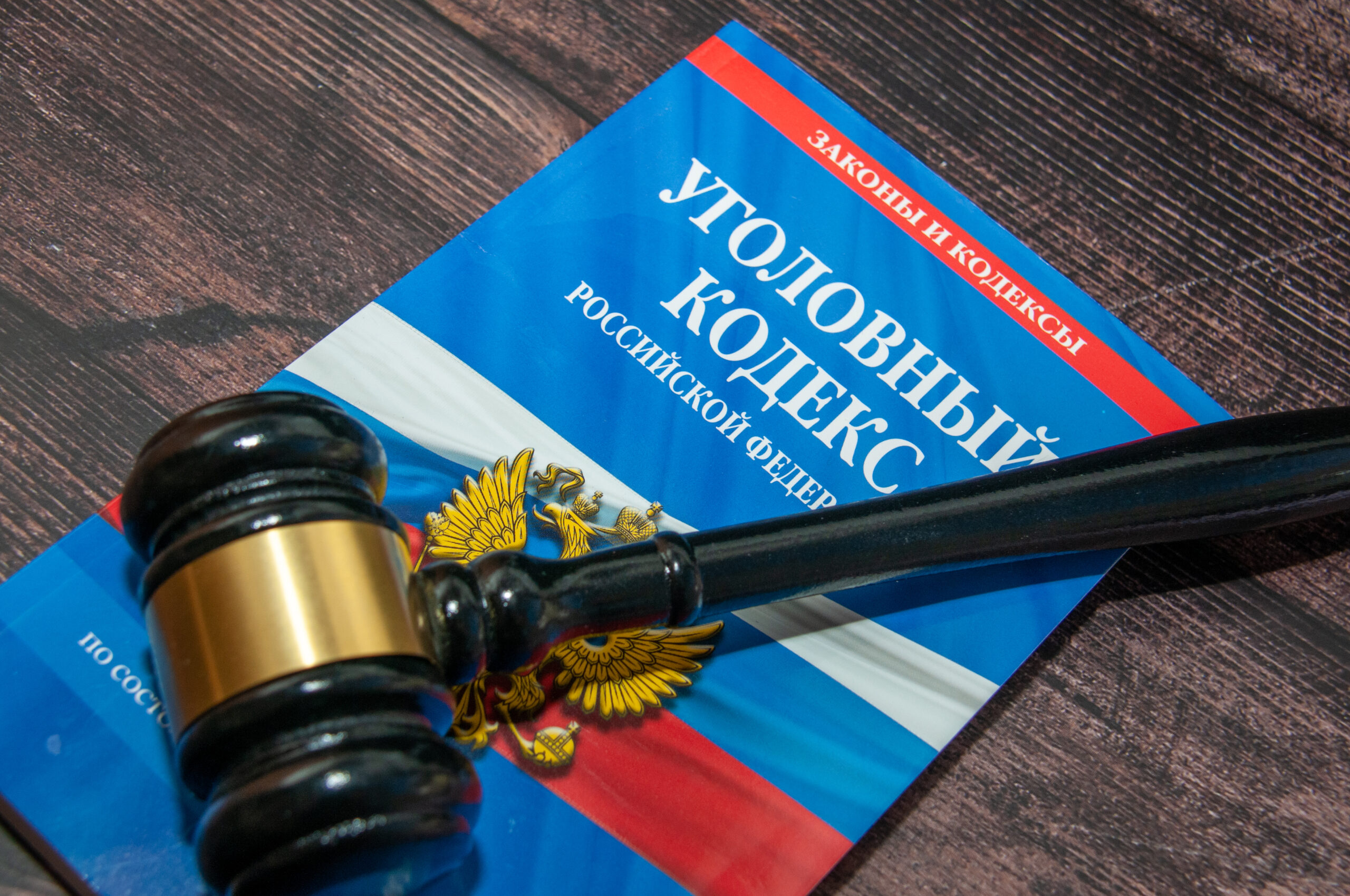 Вологжанку осудили за гибель сына в пруду