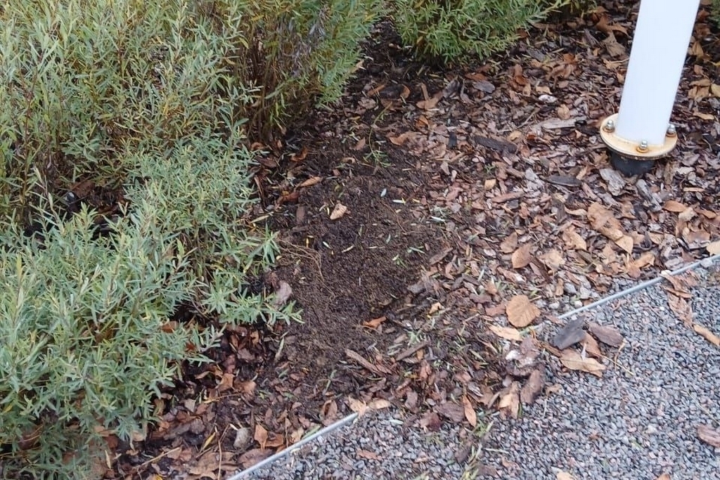 Хитрый вандал разгулялся в череповецком парке