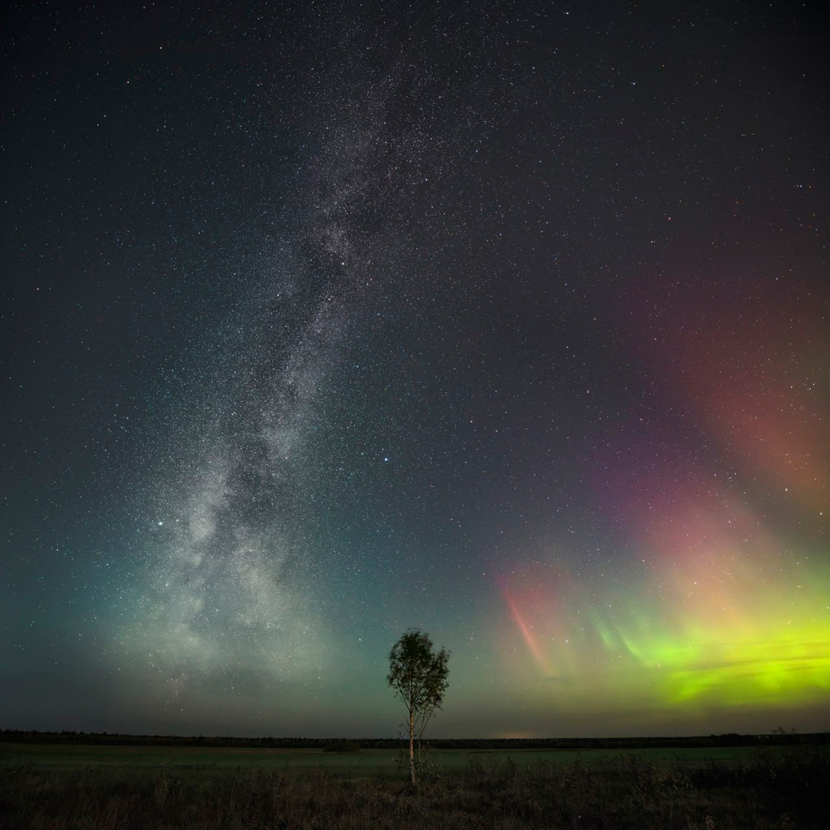 Устюжанин занял первое место на фотоконкурсе среди 3,4 тысячи авторов