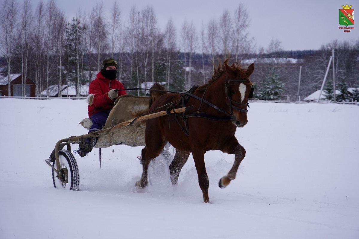Под Вологдой готовятся к фестивалю «Русская тройка»