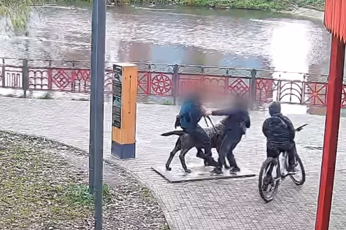 На Вологодчине вандалам объявили войну