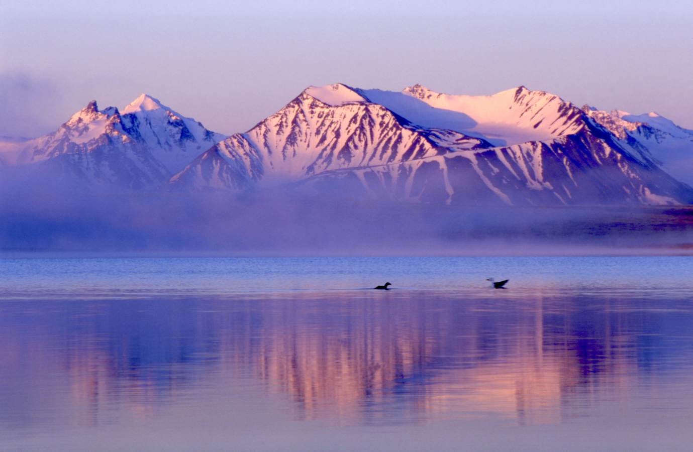 Зимний Алтай дорожает, но остаётся магнитом для туристов