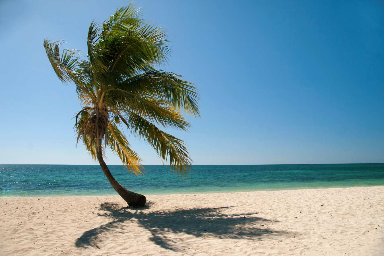 Бирюзовый океан и настоящая Куба. Чем удивляет курорт Ольгин?