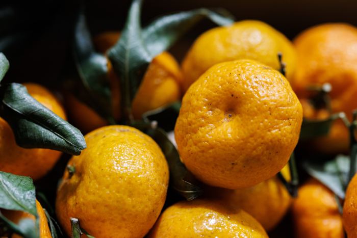 Турция зимой: фруктовый календарь и ориентиры по стоимости поездок