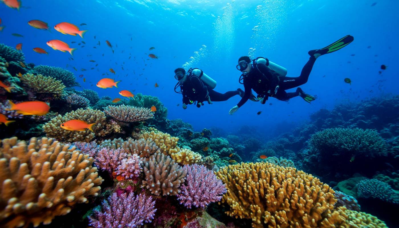 Гороскоп с 24 по 30 ноября: Овен и Рыбы извлекут выгоду даже из рискованных мероприятий