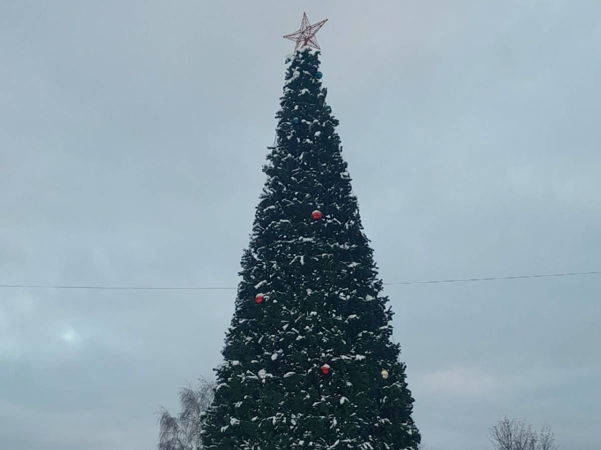 Россиян ждет сказочная новогодняя ночь