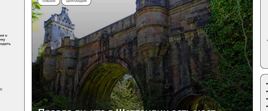 «Зов бездны»: от моста Овертаун в Шотландии до Галилейского моря – куда бегут животные и почему