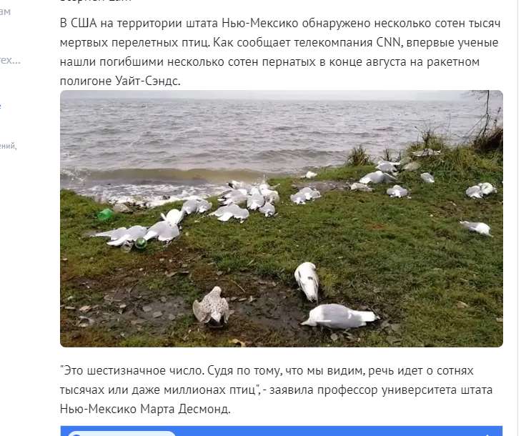 image - 2025-11-09T173615.252