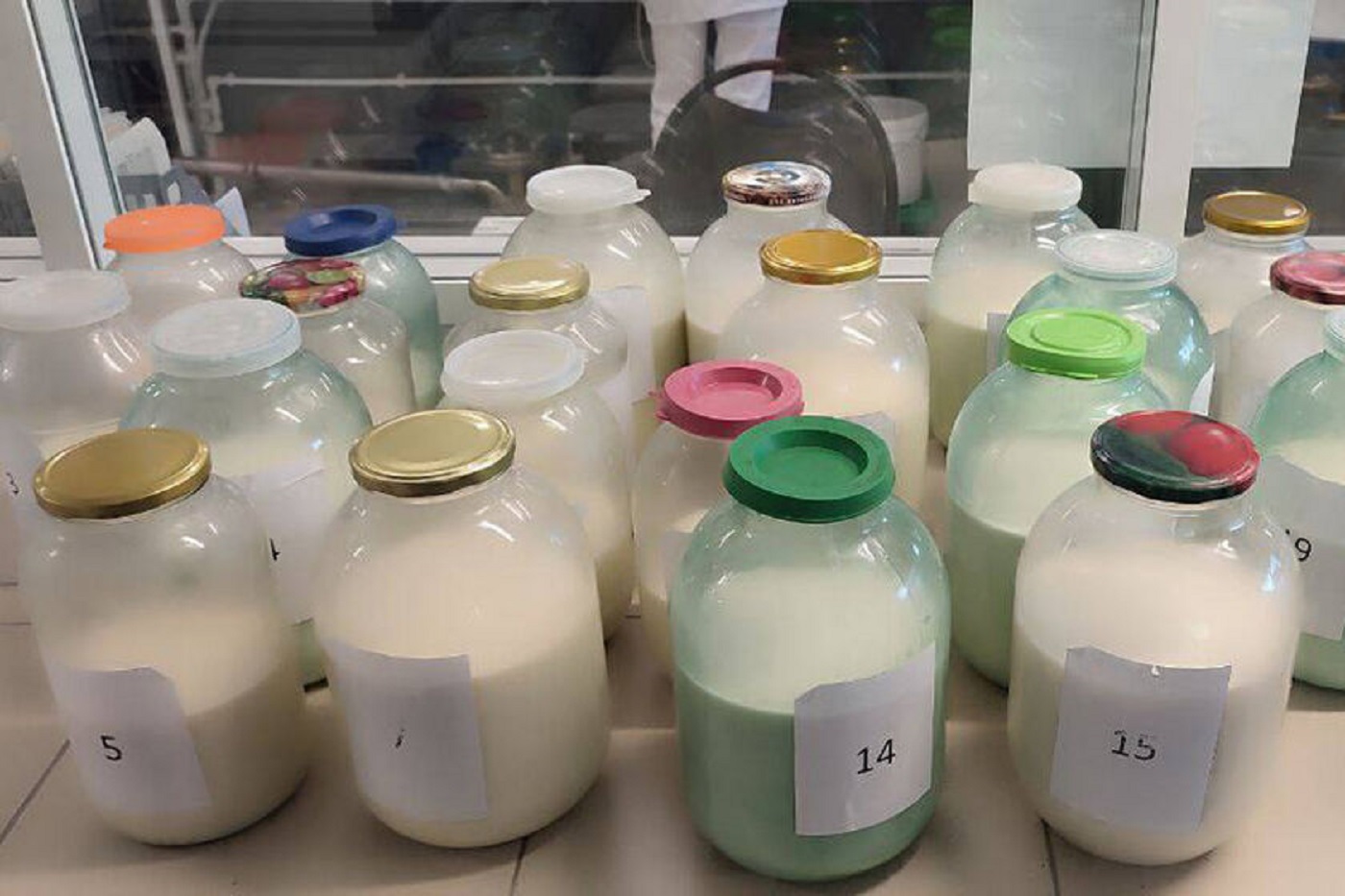 Производителя самого вкусного молока определили на Вологодчине