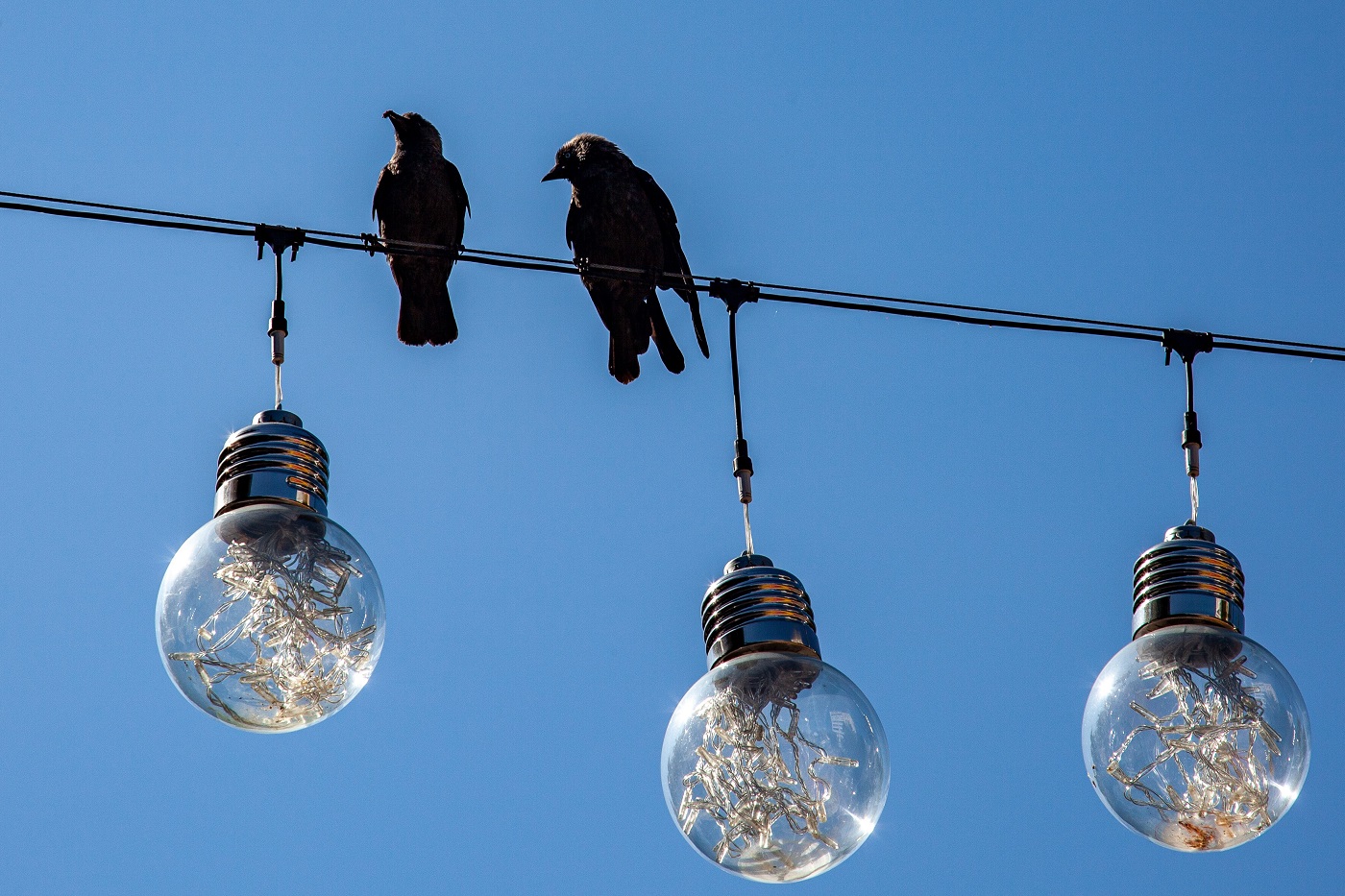 Более 100 домов в Вологде сегодня останутся без света