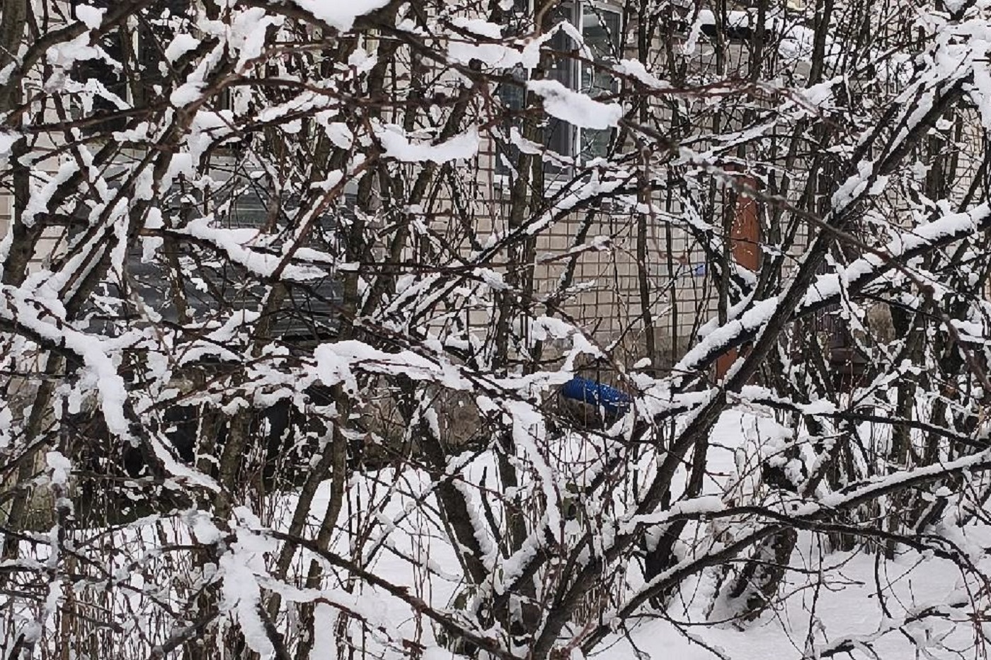 Полторы декадной нормы осадков выпало накануне в ряде вологодских округов