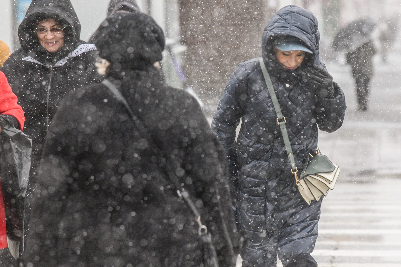 Обильный снегопад обещают вологодские синоптики