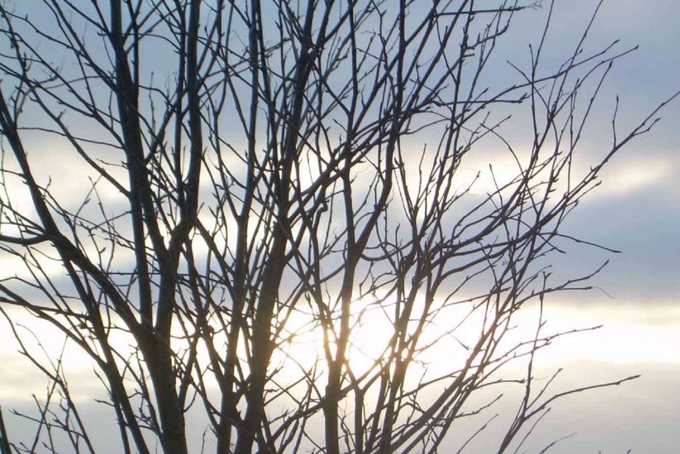 Зима берет паузу в Вологодской области