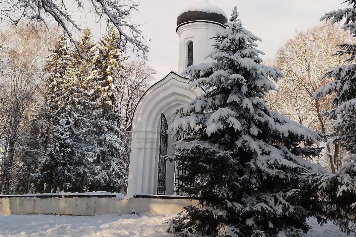 В ближайшие дни погоду в Вологодской области будут определять циклоны