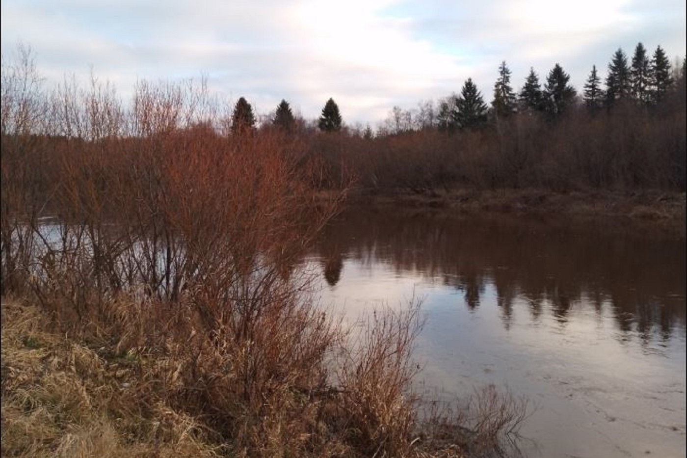 Вологодские синоптики обещают аномальные температуры