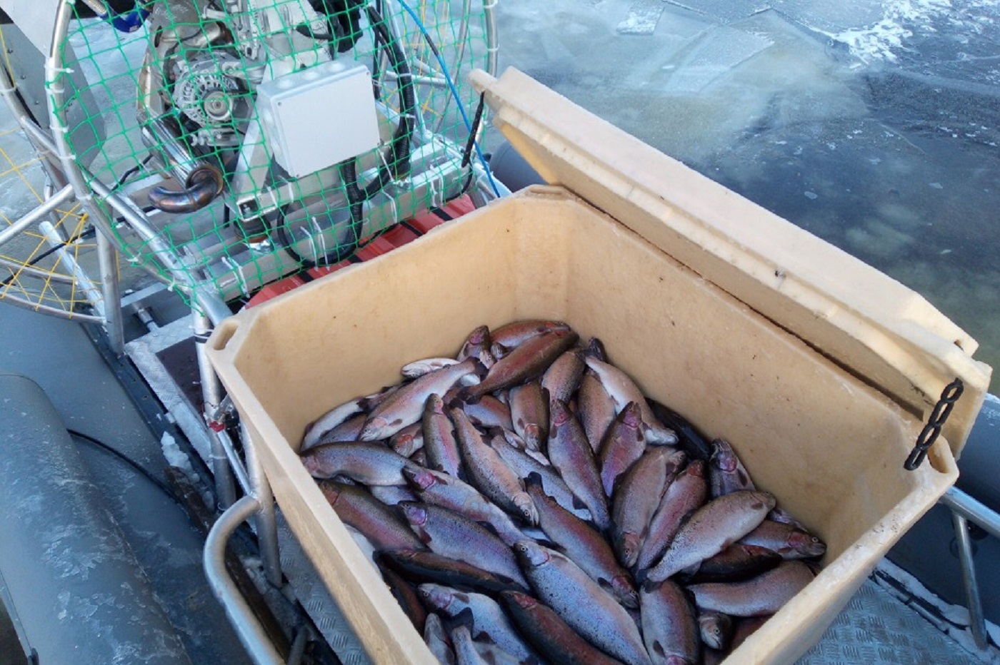 Вологодские рыбные хозяйства увеличили производство аквакультуры на 423 тонны