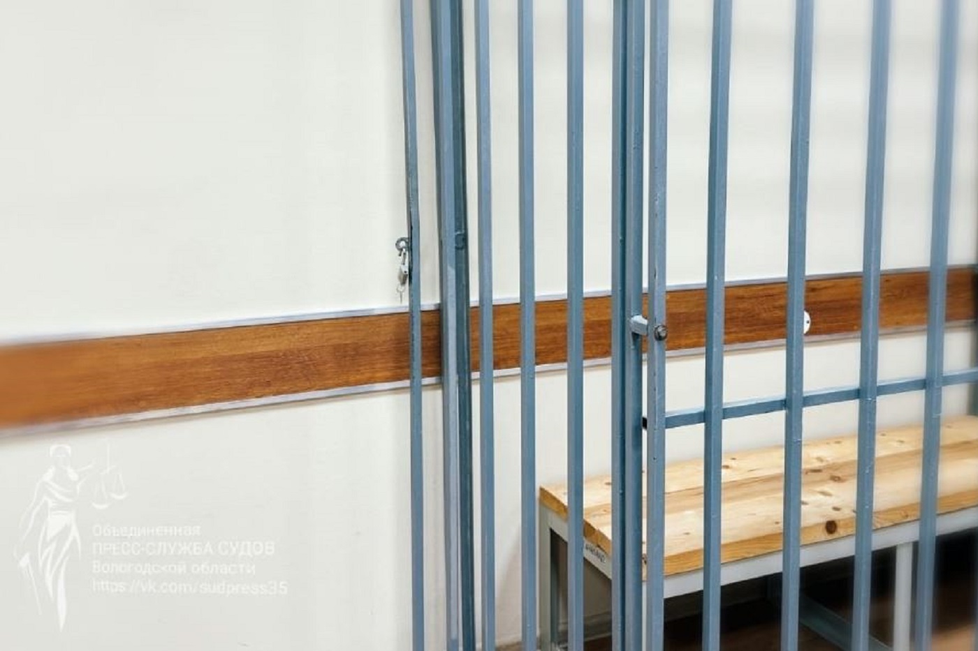 Молодой житель Вытегорского округа арестован за приставание к маленькой девочке