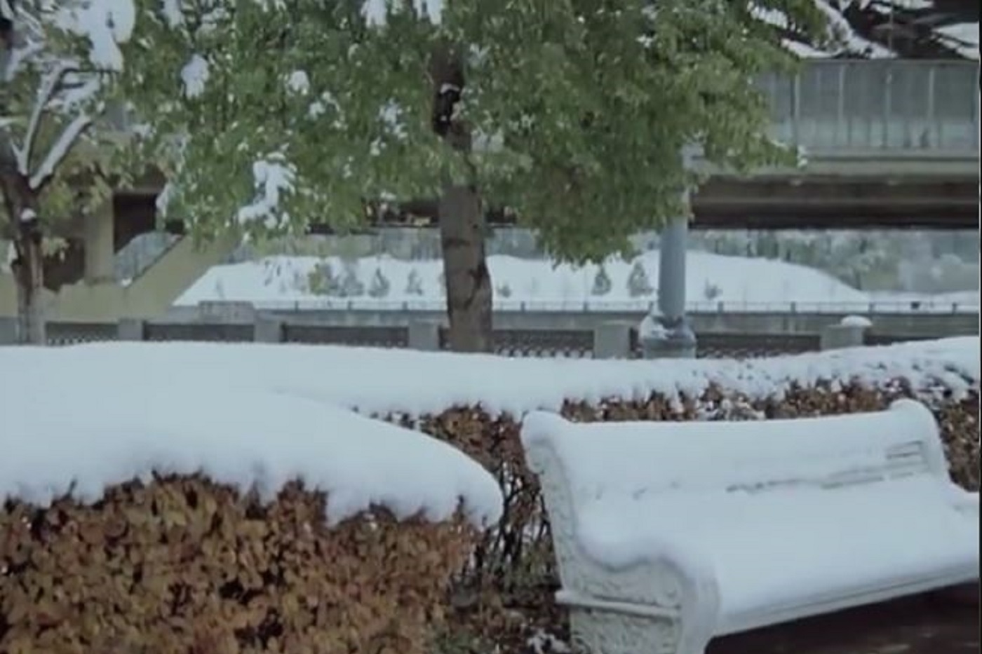 Синоптики рассказали, когда наступит зима