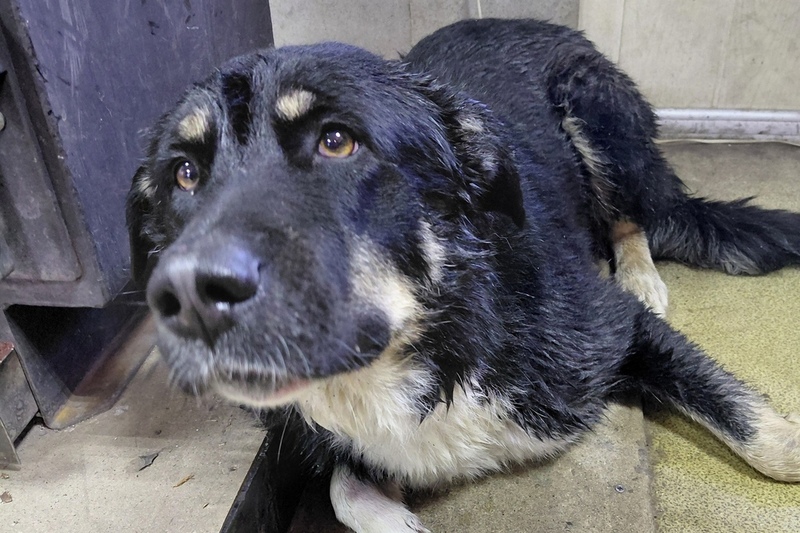 044503600-1765635812