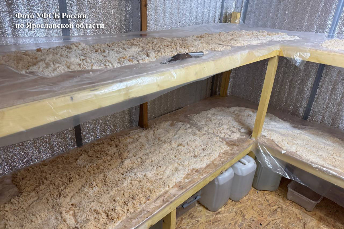 Череповчанин организовал цех по производству наркотиков