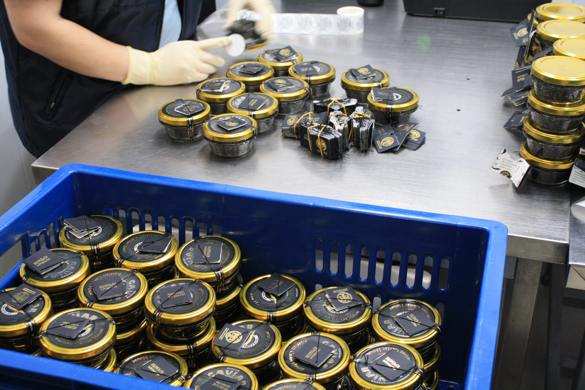 Вологодскую черную икру закупают иностранцы