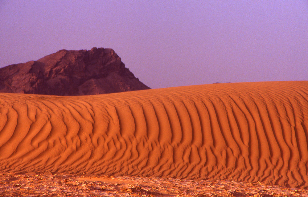 «Процесс уже начался»: Учёные предсказывают раскол Африки и появление нового океана