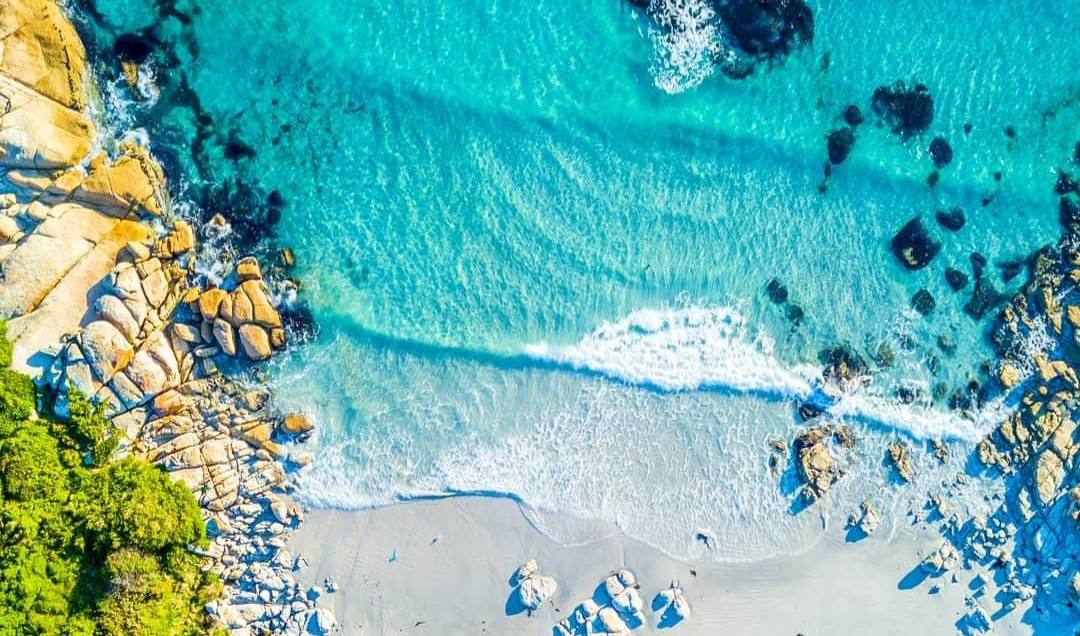 Коралловые рифы могут исчезнуть. Такова жизнь, сообщают учёные