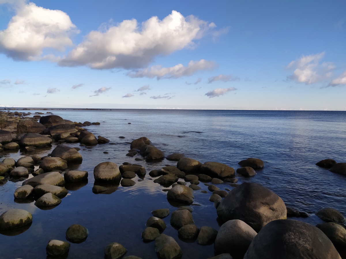 Вокруг Ладоги за четыре дня: маршрут с природой, крепостями и северным характером