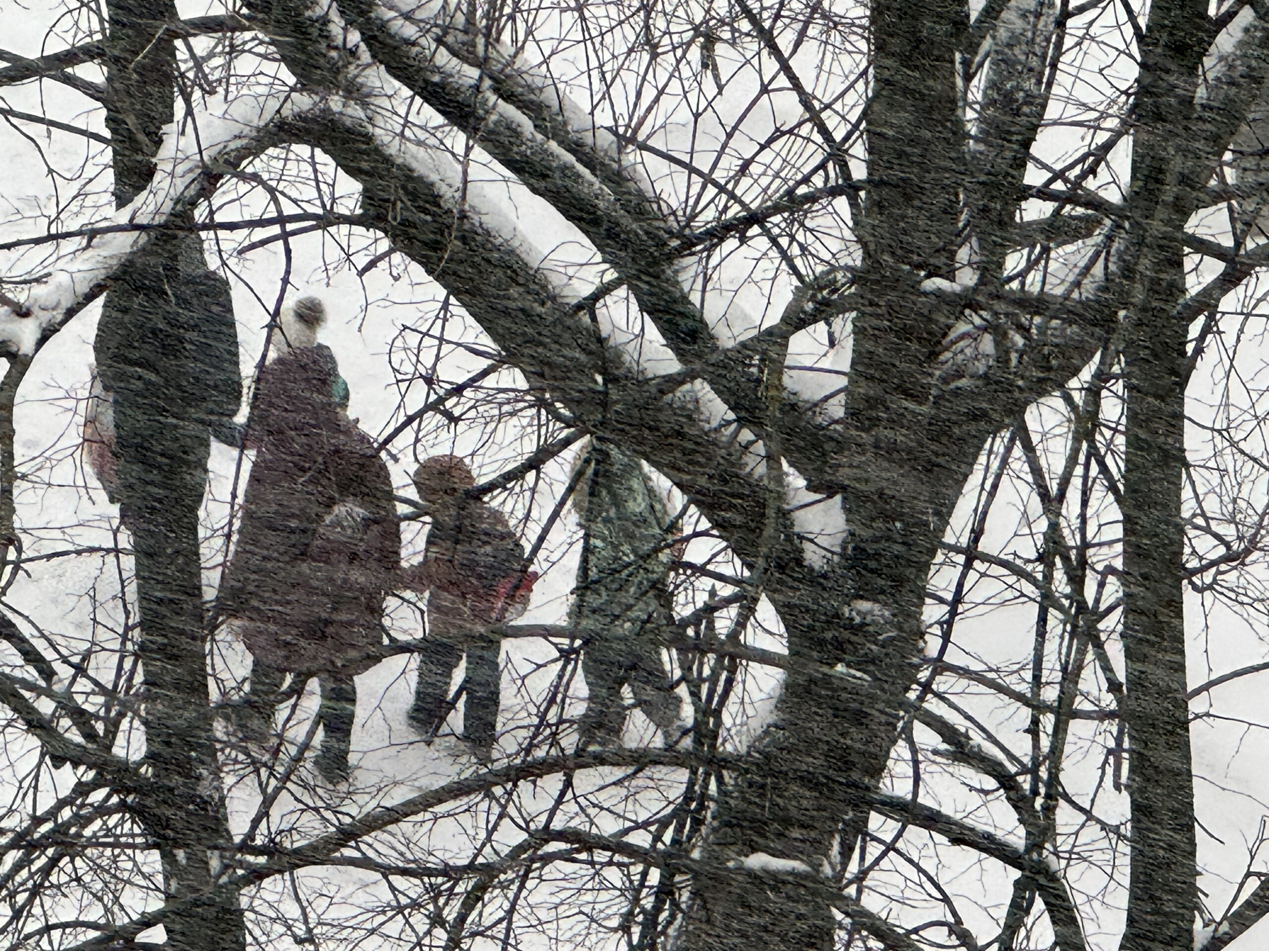 Госдума открыла дверь к досрочной пенсии: узнайте, как выйти на 5 лет раньше