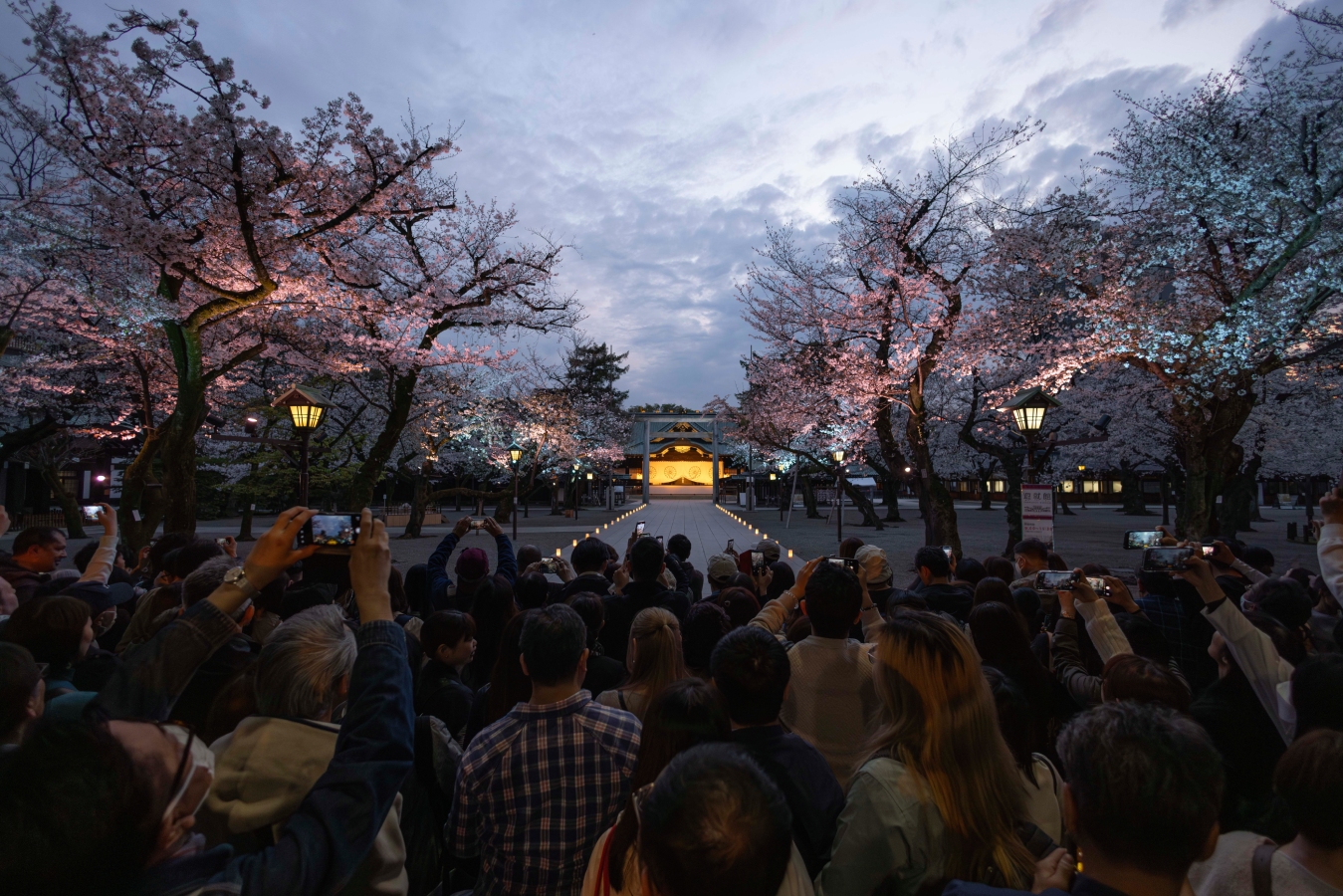 Как россиянам получить визу в Японию в 2026 году: что изменилось