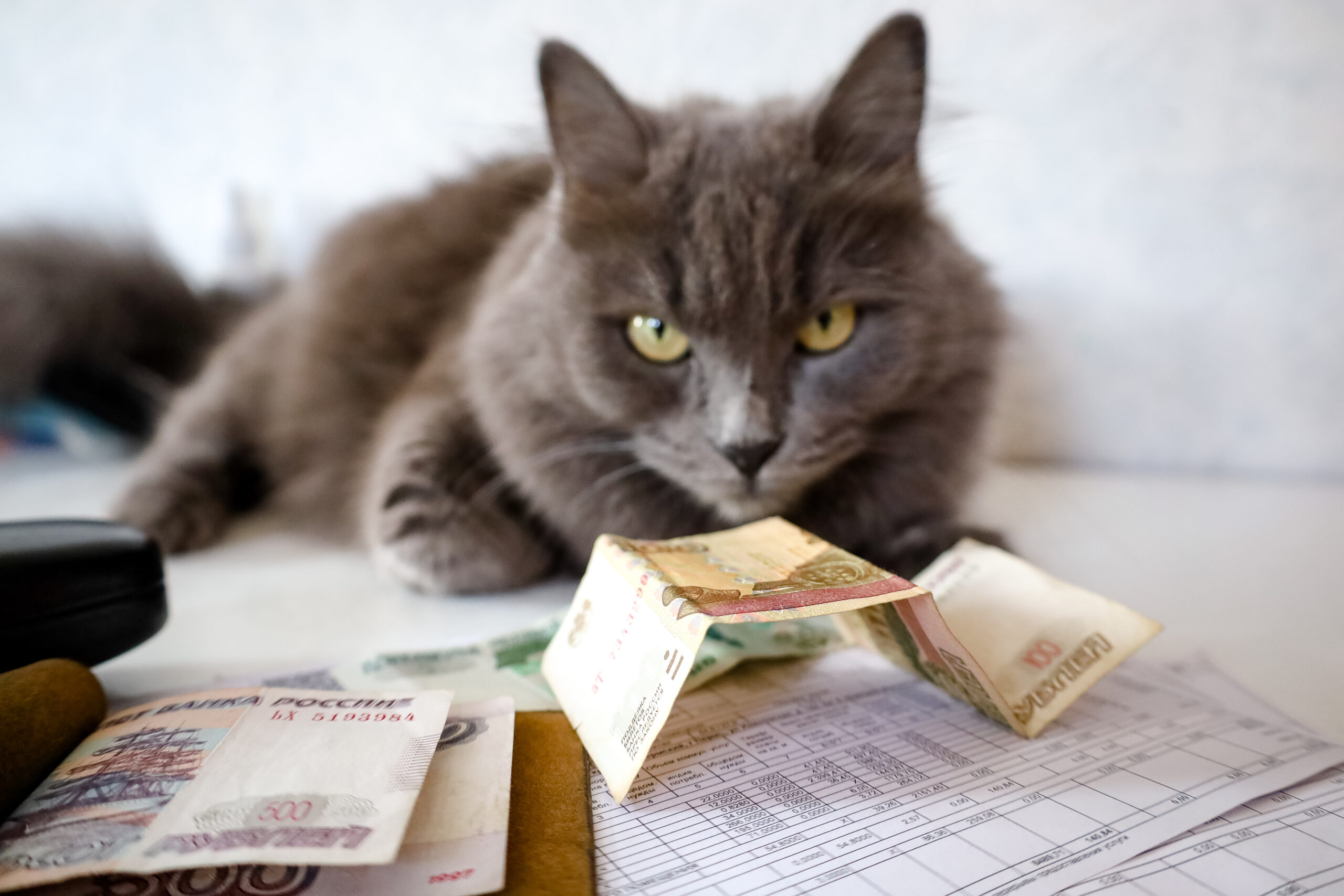 Единая платежка ЖКХ запутала жителей Вологды