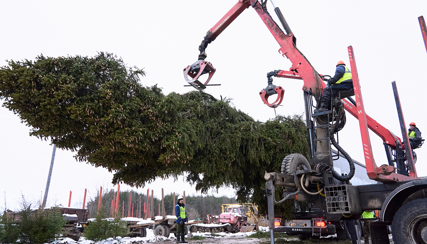 Вологжане отправили новогодние игрушки жителям Донецкой народной республики