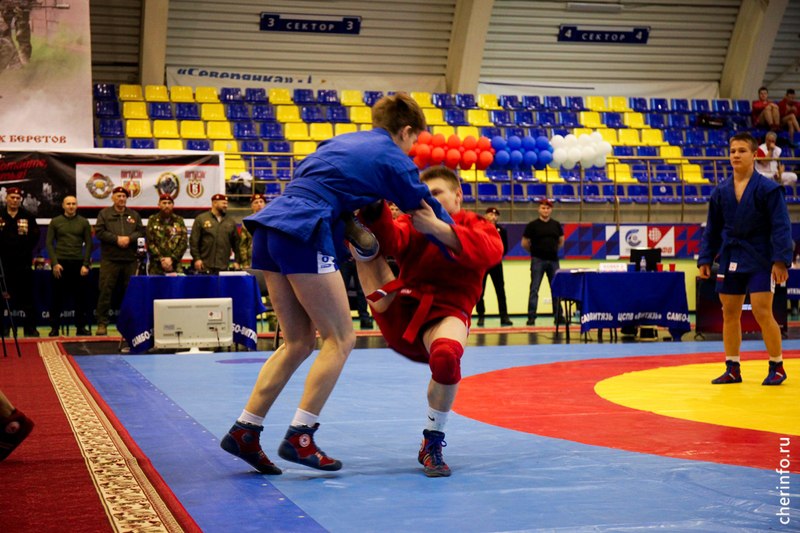 В Череповце готовятся к турниру: Кубок губернатора по самбо как повод задуматься о спорте и патриотизме