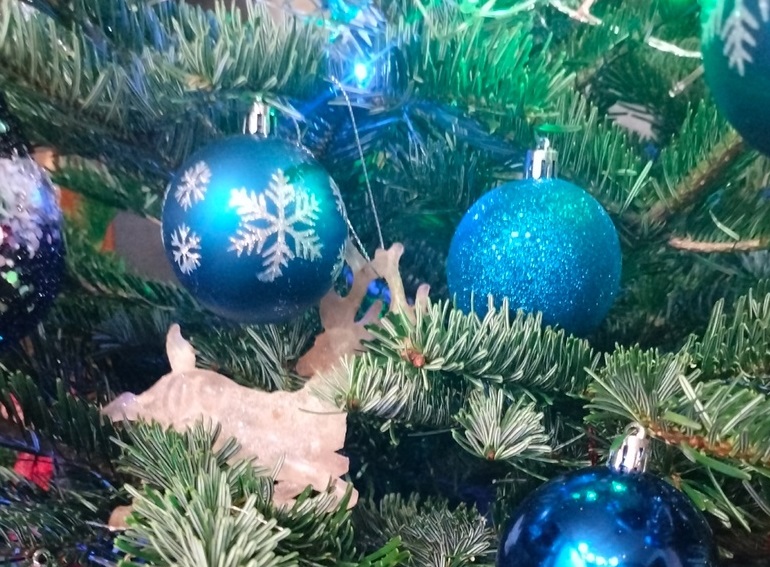 Жулики продают вологжанам билеты на елку на фальшивых сайта