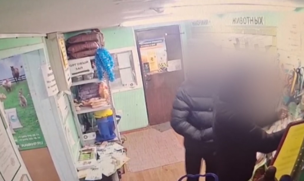 В Вологде животновод попался на краже хомута для коровы