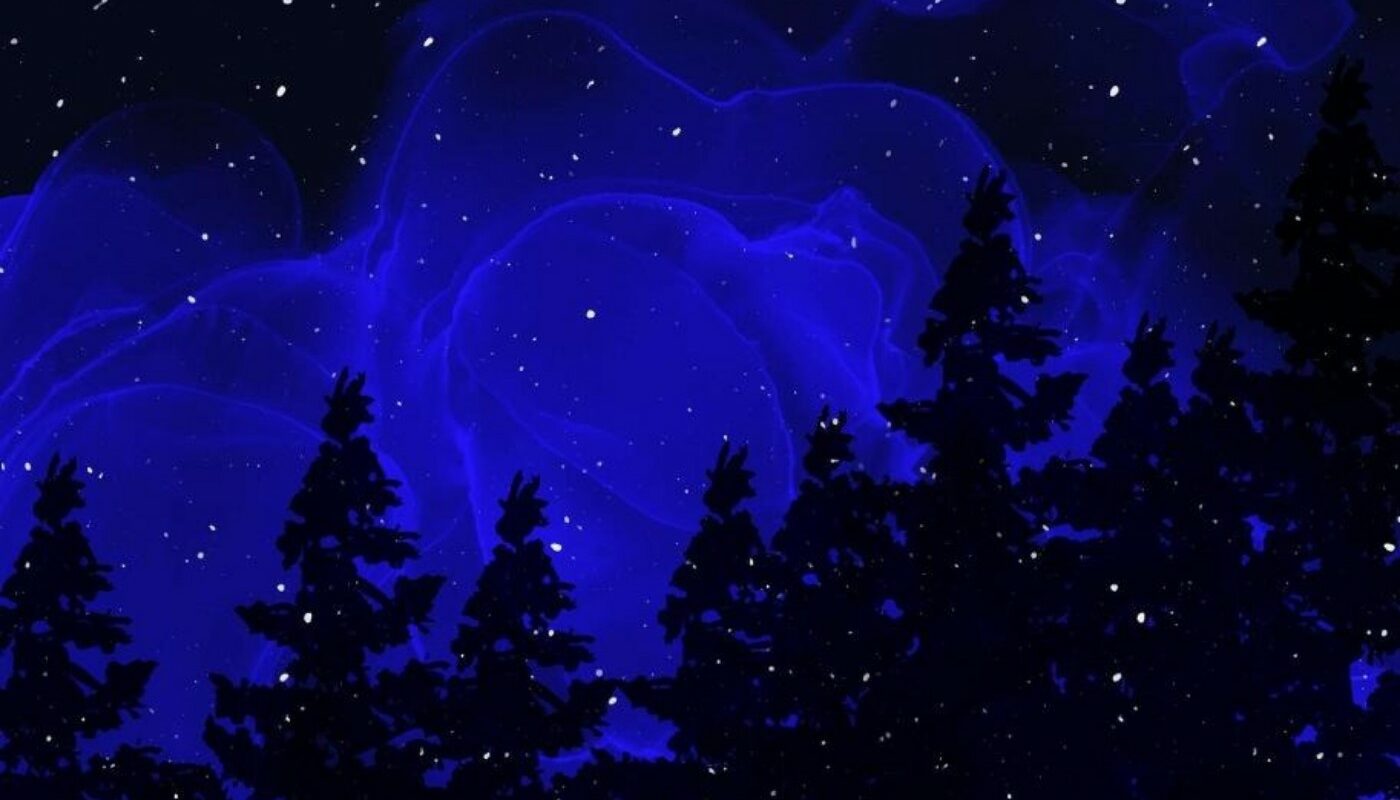 Пролетят даже «Сани Санты»! С 21 по 31 декабря 2025 не отрывайте глаза от вологодского неба