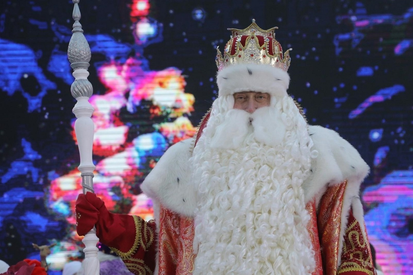 В Вологде завтра зажгут огни на главной новогодней елке