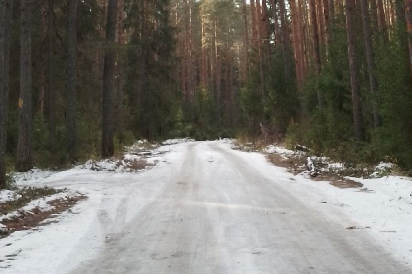 Синоптики рассказали, как долго продержатся теплая погода