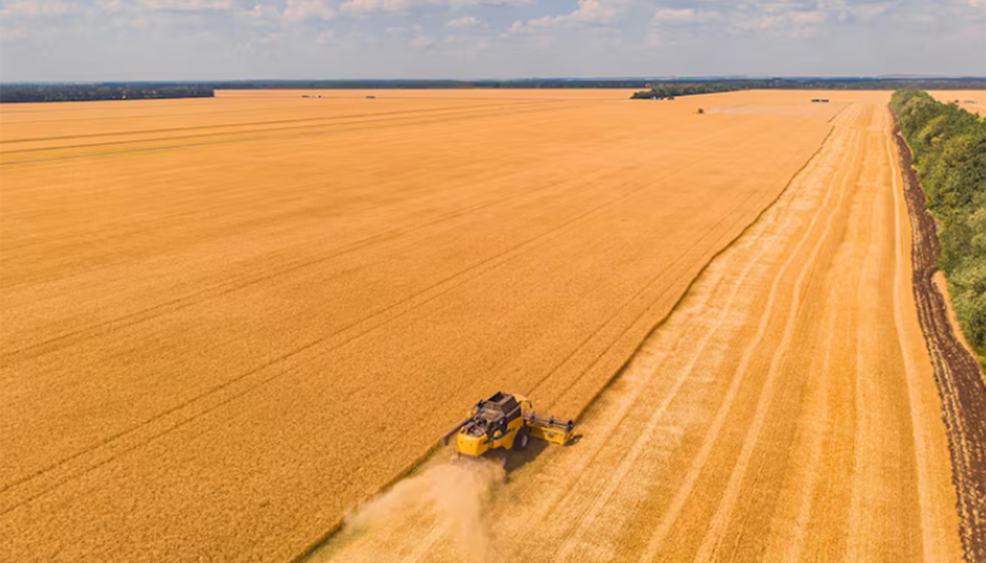 В 2026 году вологодские аграрии получат большой объём господдержки