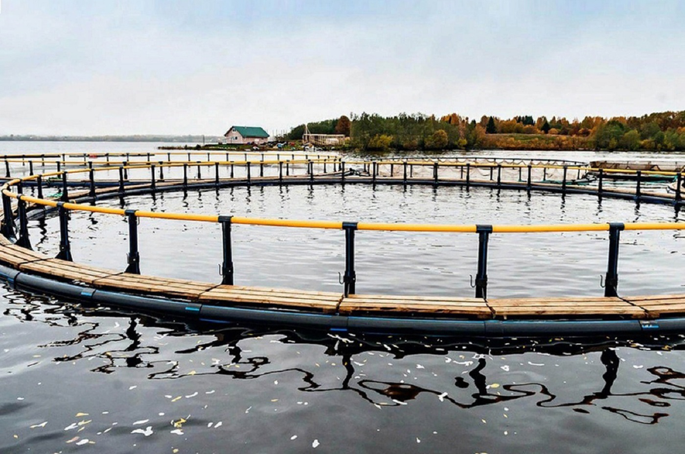 Три рыбоводных участка выставлены на аукцион в Вологодской области