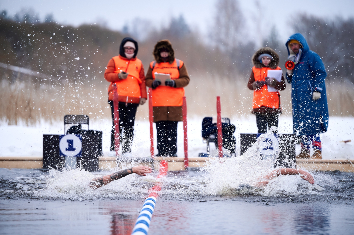 Под Кирилловом соревновались «моржи»