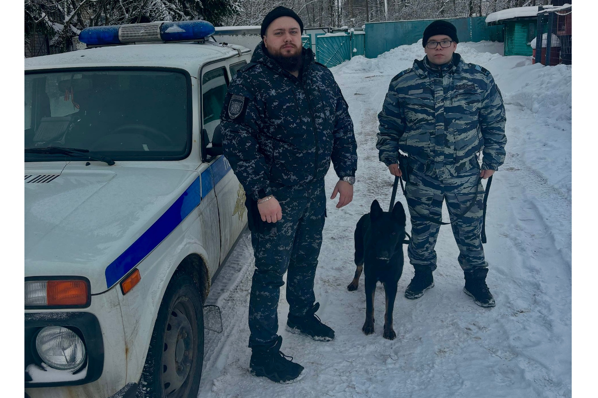 В Череповце кинологи разыскали двух загулявших детей