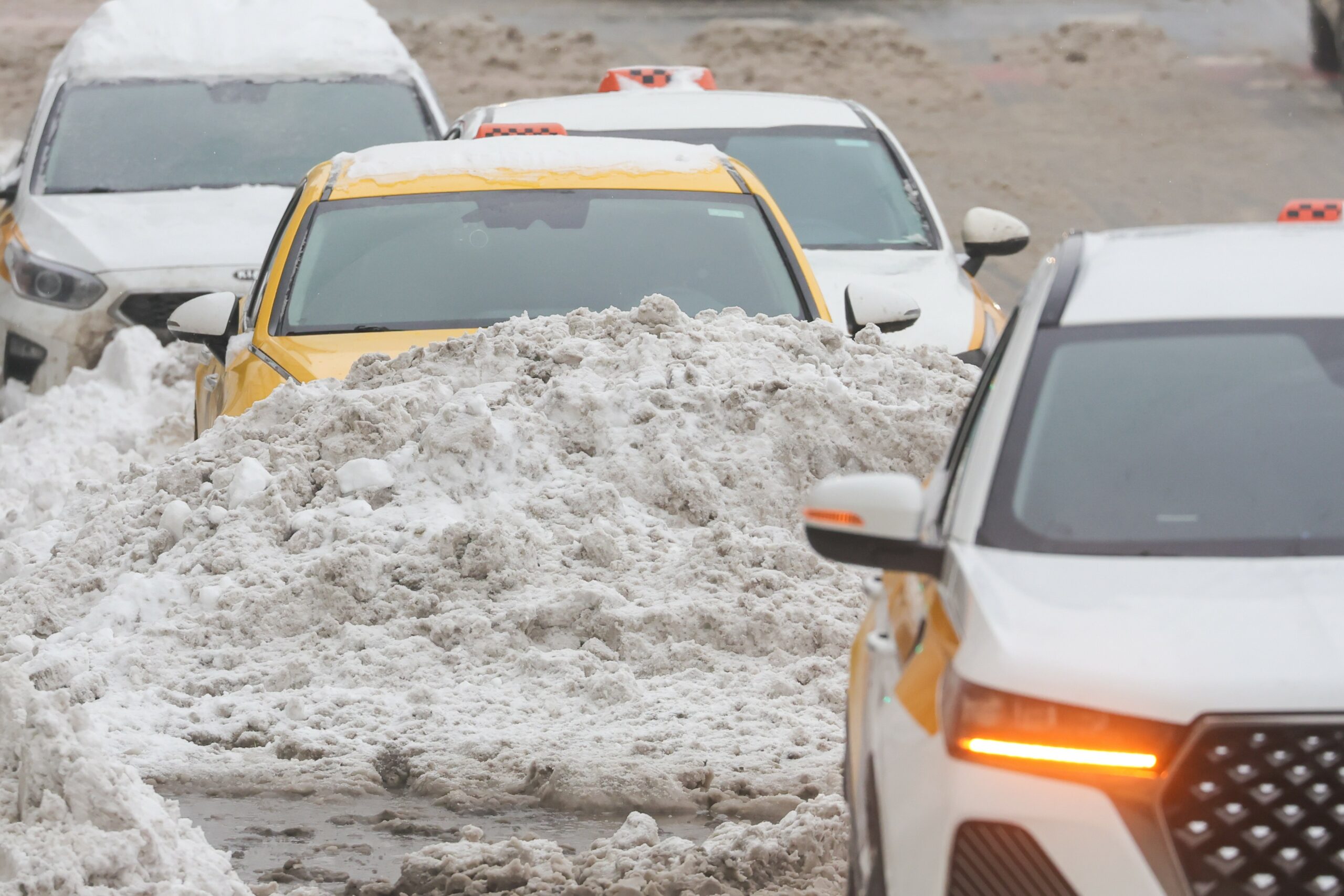 Проверить такси и водителя можно на Госуслугах