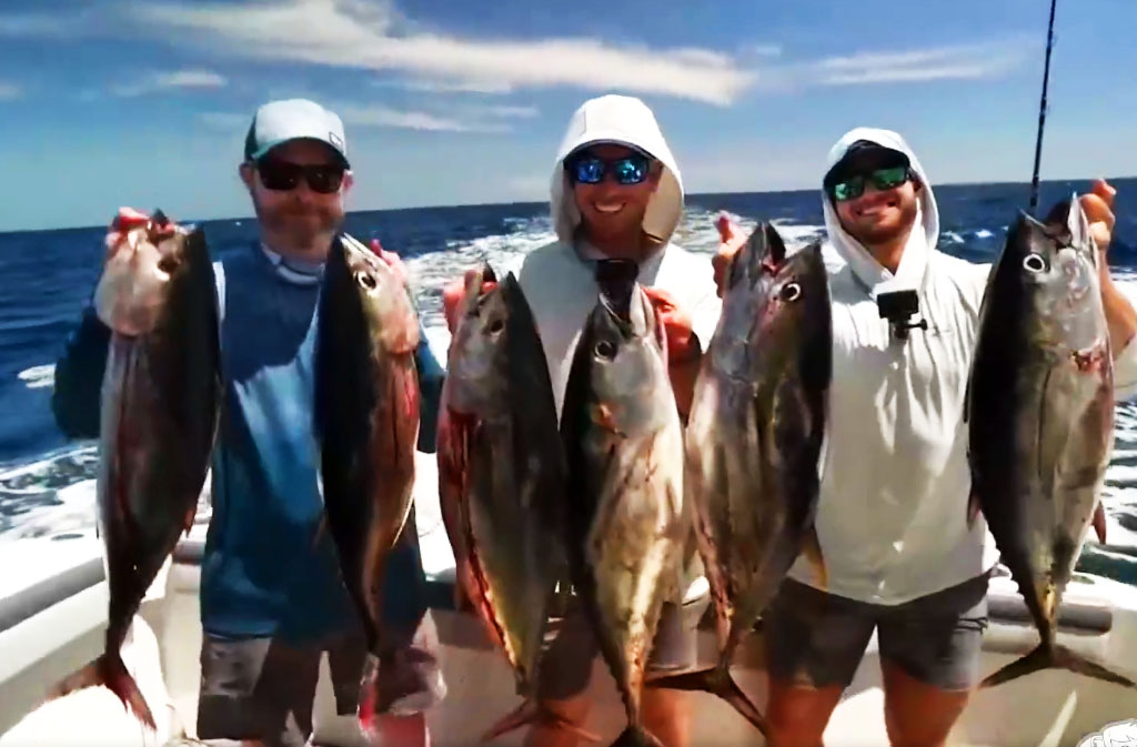 Клевое дело в смартфоне: сервис GoFish позволяет рыбачить под Алма-Атой, не вставая с дивана