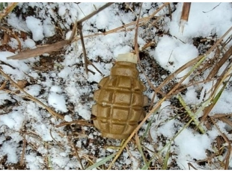 Вологжанин хранил боевую гранату