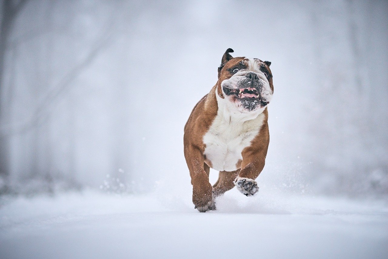 Погодные качели «сорвались с цепи»: Вильфанд предупредил о морозах -35 в Поволжье и резком «плюсе» на Урале
