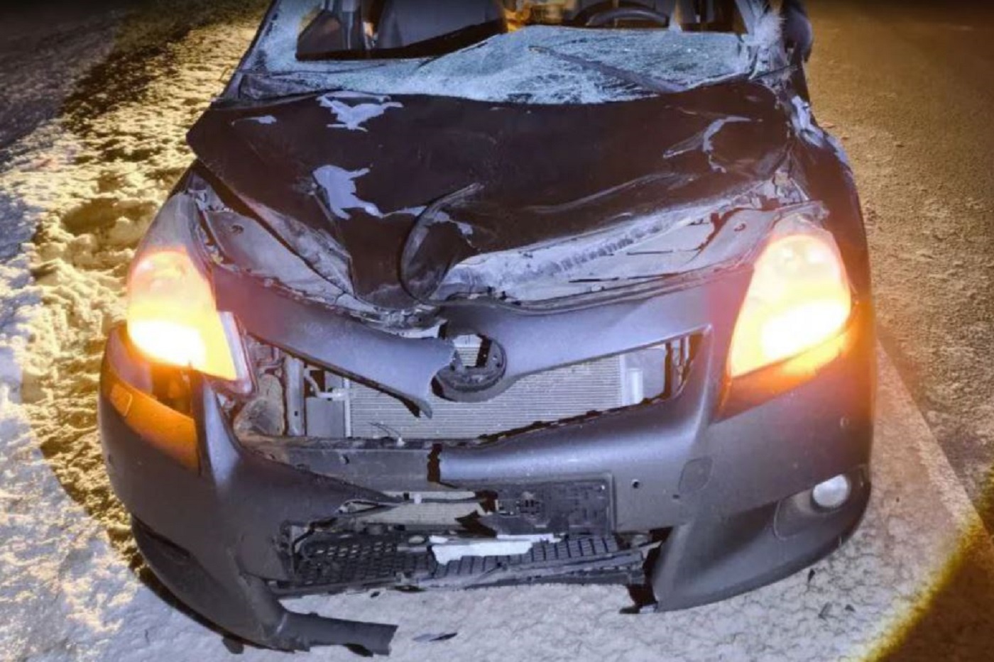 Жесткая авария с лосем произошла в Чагодощенском округе