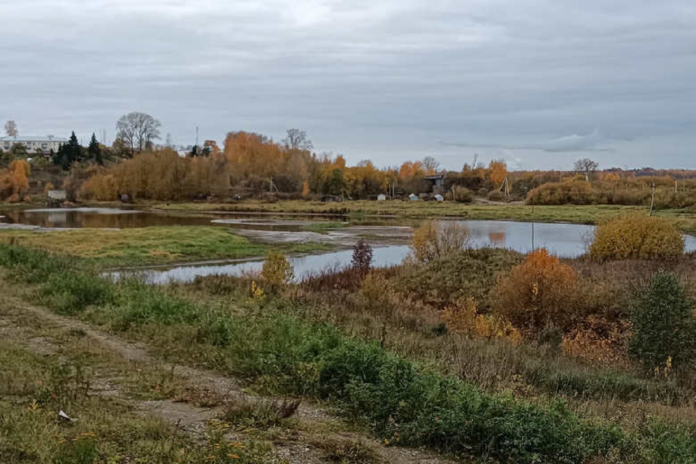 Жителю Шексны ограничили свободу за гибель женщины