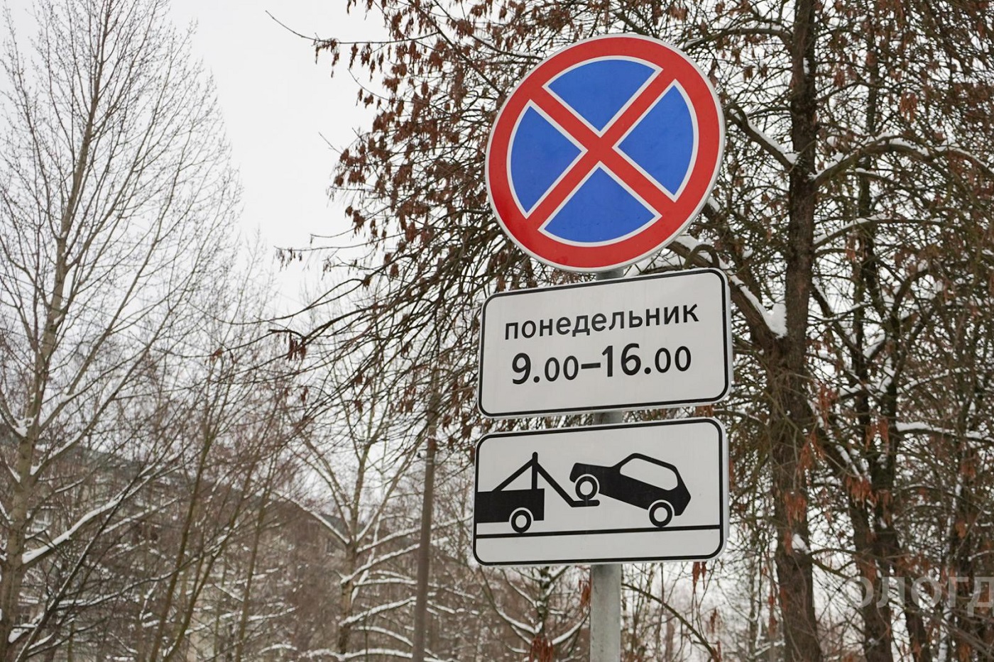 В Вологде временно ограничена стоянка автомобильного транспорта